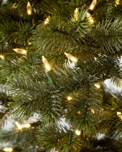 Yukon Spruce® ReNEW™