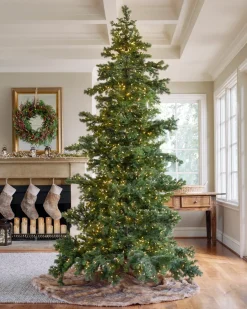 Yukon Spruce® ReNEW™