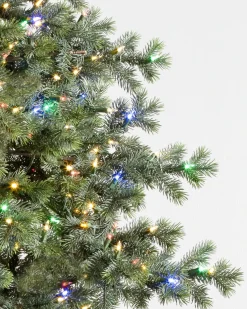 Yukon Spruce® Trees