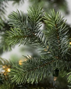 Yukon Spruce® Trees