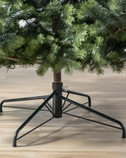 Yukon Spruce® Trees